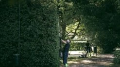 Cramer 82PHT 82V Li-Ion Accu Telescopische Steel Heggenschaar Body - 2.70-3.40 M - Koolborstelloos -Beste Gereedschaps Winkel 63f8eb808c9cbf0159dd9b49d1d491cd