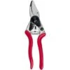Felco 6 Snoeischaar - 20mm - 600049 -Beste Gereedschaps Winkel 93cbf5187e18a2b8cd6fa332616c5a59
