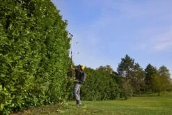 Stiga PH 900e Accu Heggenschaar Body Op Steel - 50cm - 34mm - Telescopisch 26 Stiga PH 900e Accu Heggenschaar Body Op Steel - 50cm - 34mm - Telescopisch -Beste Gereedschaps Winkel 9a4c0a00a54ba77be518e399f52487dd